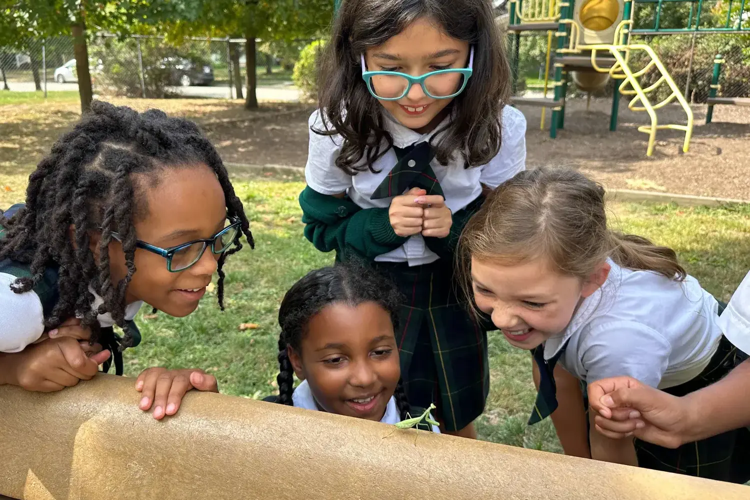 3rd Grade students observe a praying mantis in the playground.