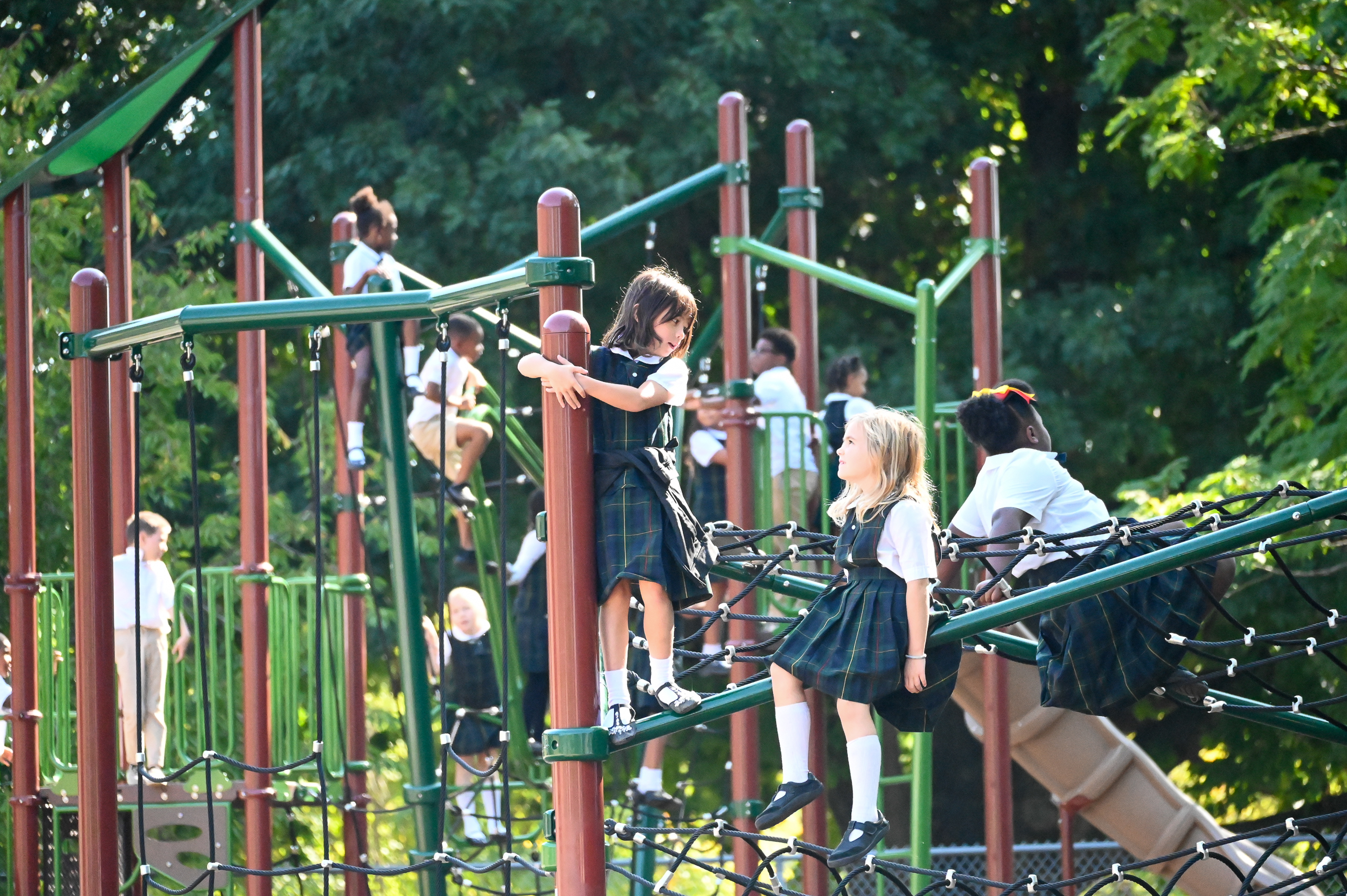 OriginalImage,,,Original