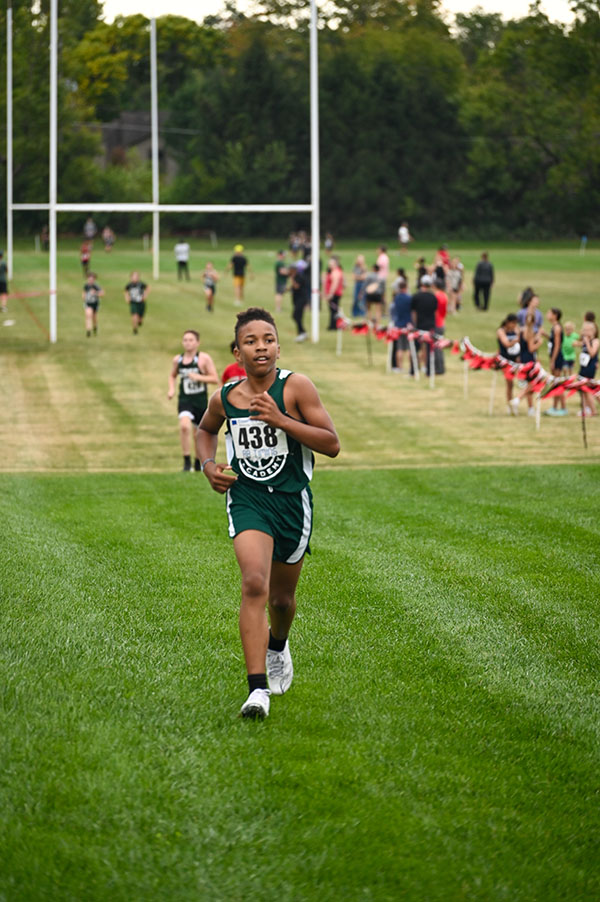 OriginalImage,,,Original