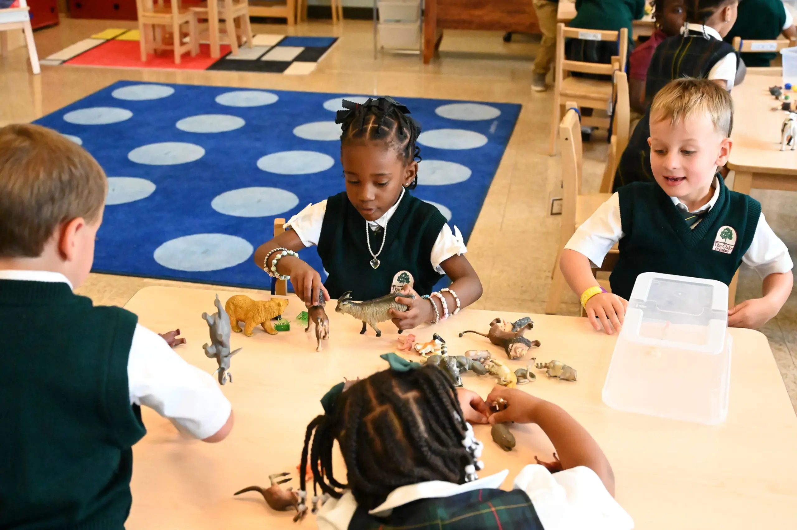 OptimizedImage,,,Optimized