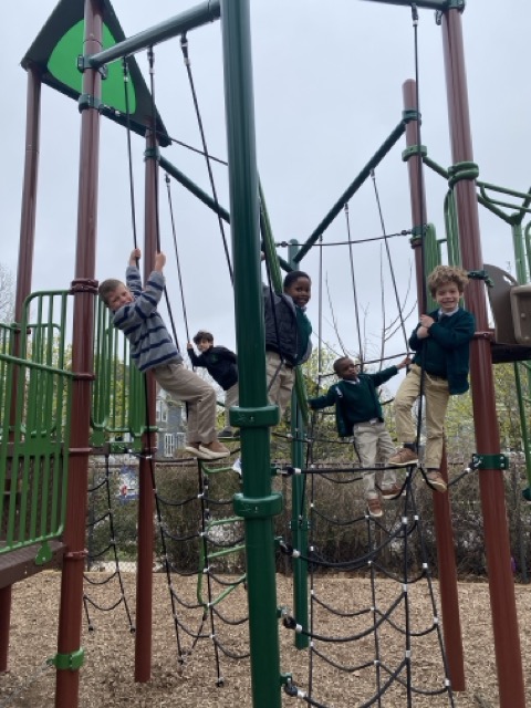 OriginalImage,,,Original