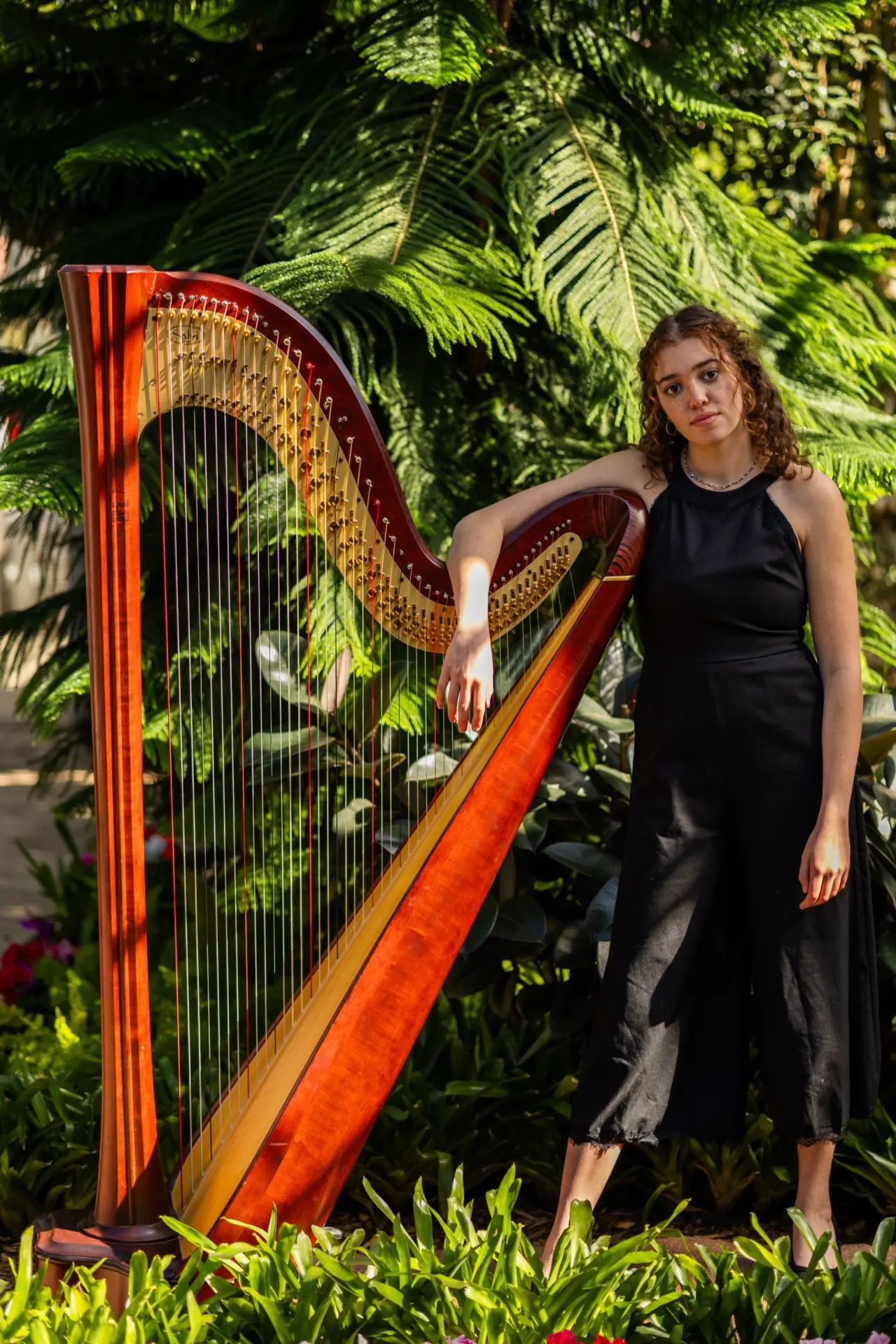  OptimizedImage,,,Optimized