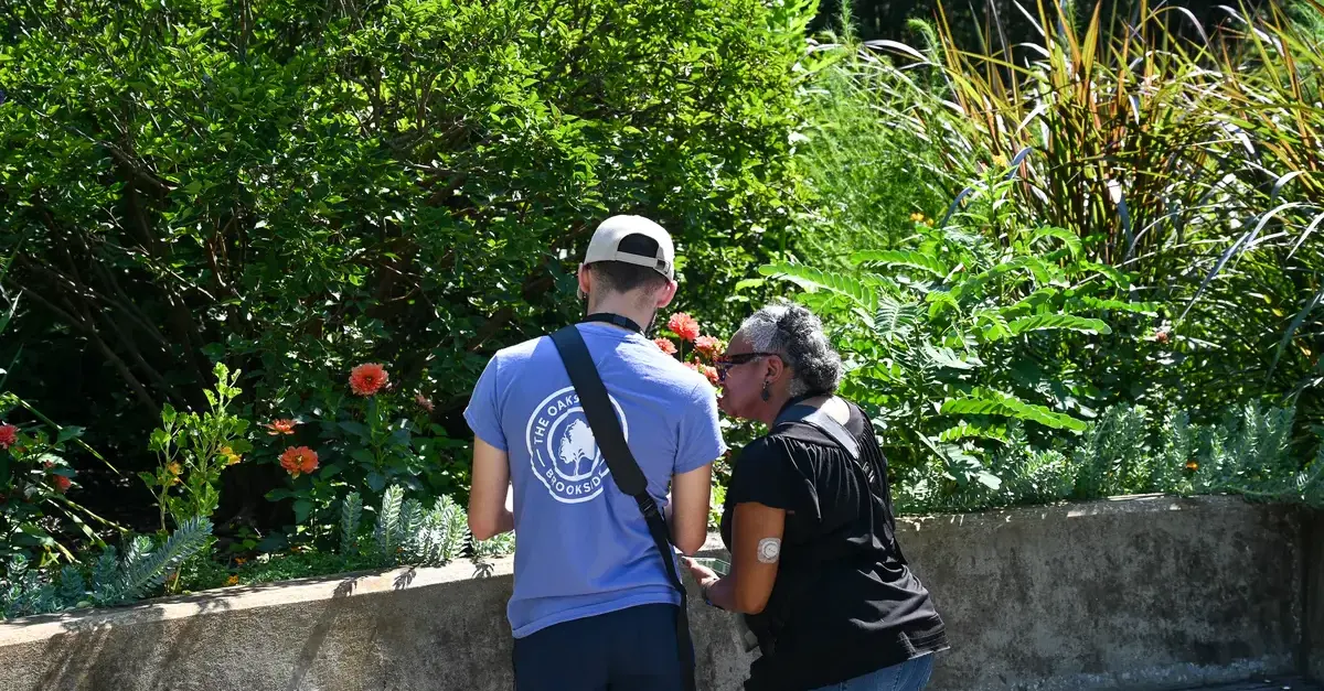 Rooted in Learning: Professional Development at Newfields